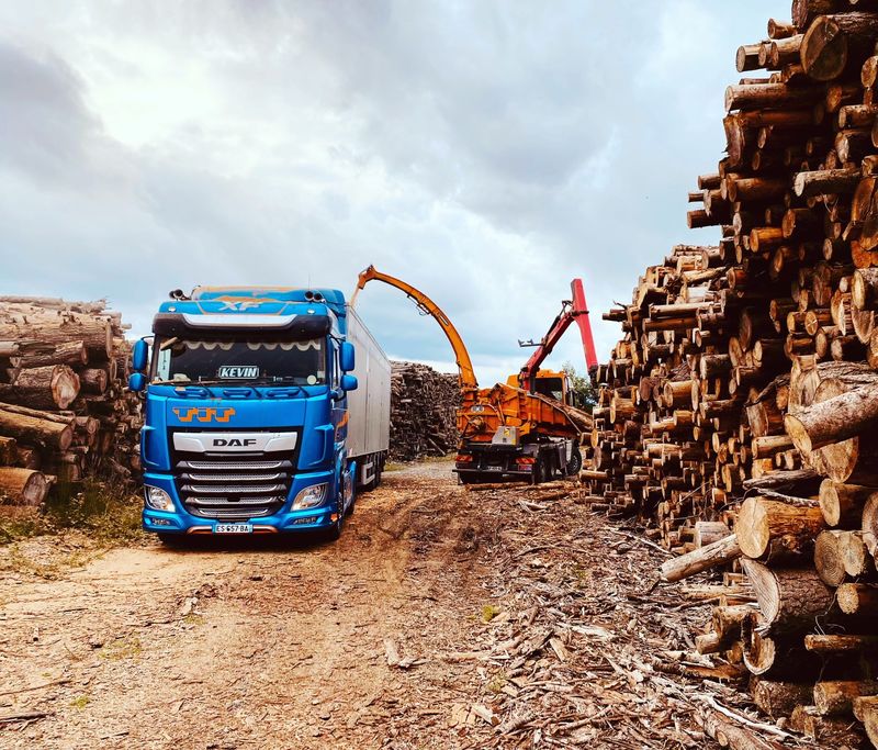 Chargement plaquettes de bois en vrac